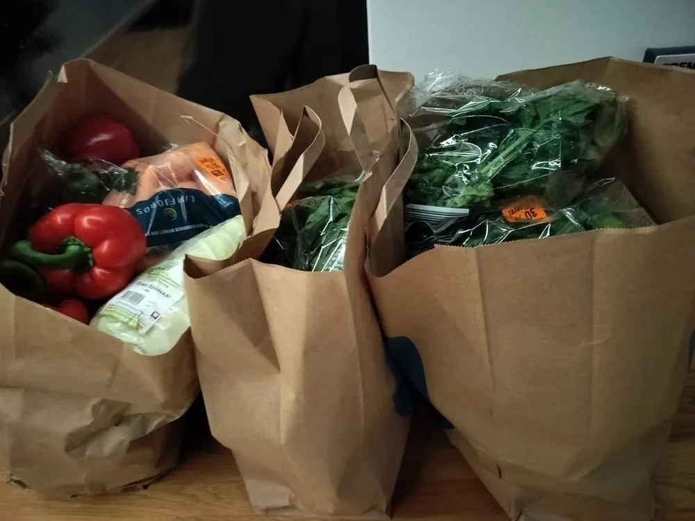 Friske ingredienser til hjemmelavet hundemad