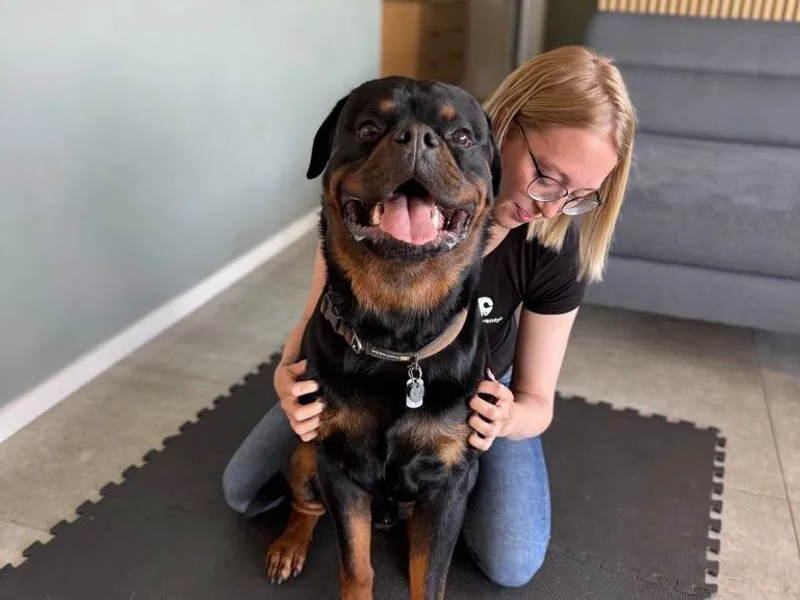 Heidi kigger tilfreds på en hund efter hundeosteopatisk behandling