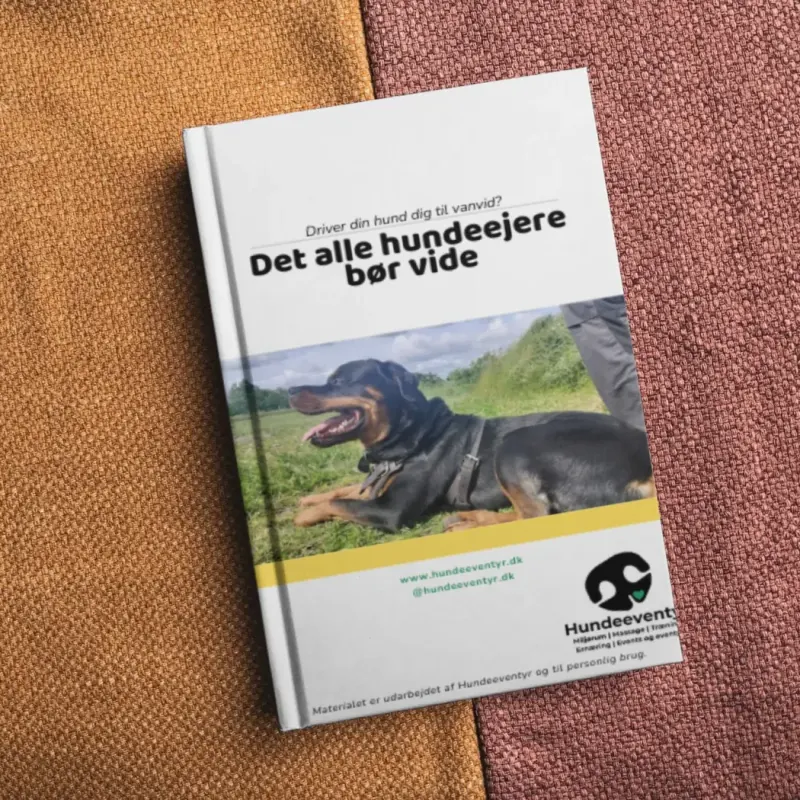 Bogen 'Det alle hundeejere bør vide' fra Hundeeventyr