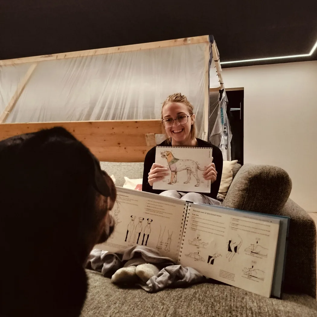Heidi studerer hundeanatomi derhjemme