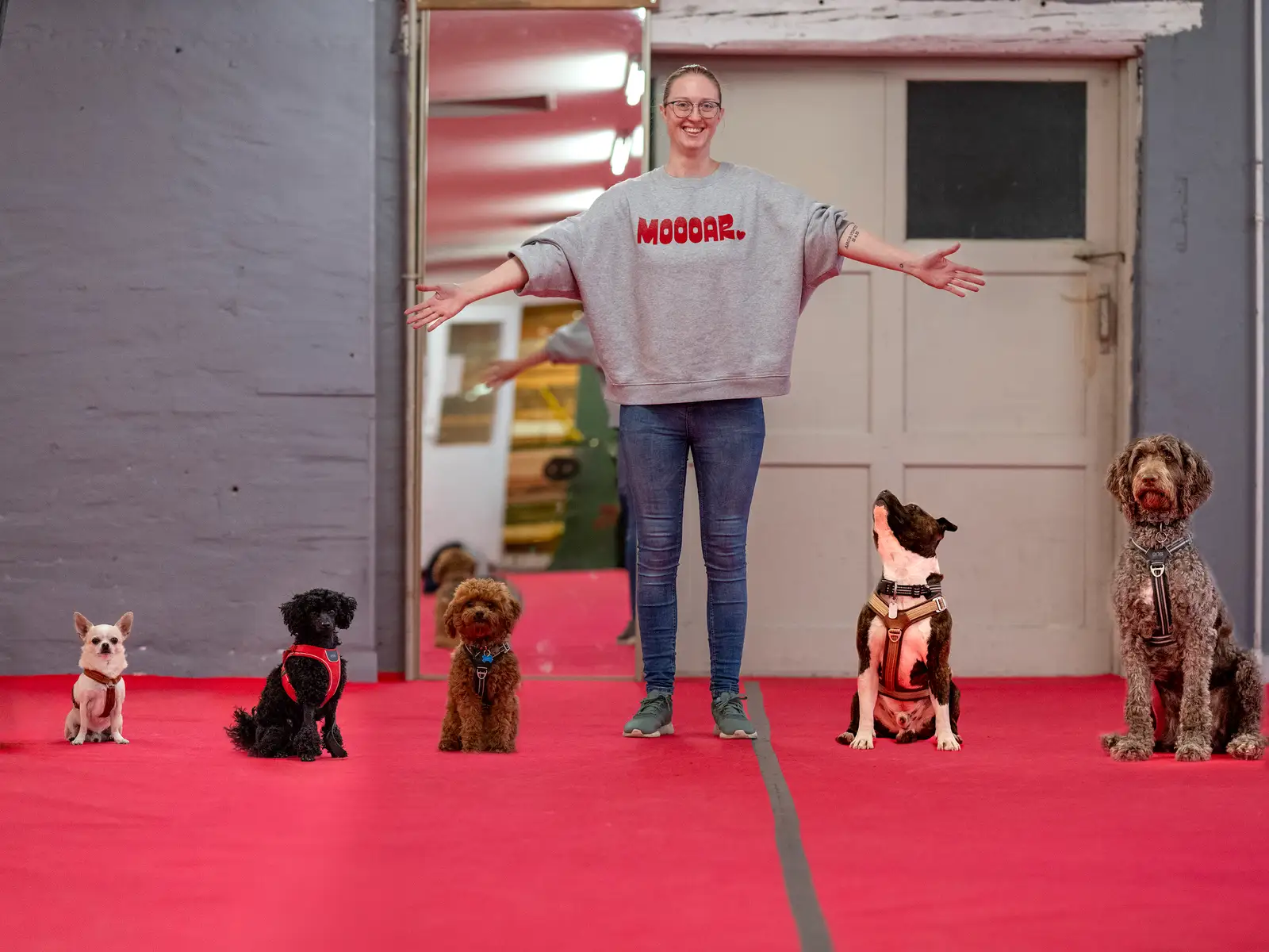 Heidi giver en hund high five under træning hos Hundeeventyr i Aalborg